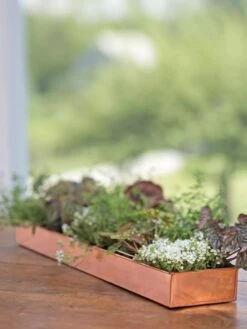 Rectangular Copper Plant Tray, 24" X 5" 7 Rectangular Copper Plant Tray, 24" X 5" -Gardener's Supply Sales 8593533 4626 tif