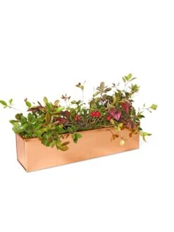 Tall Rectangular Copper Plant Tray, 18" X 5" X 4" -Gardener's Supply Sales 8593534 2899 tif