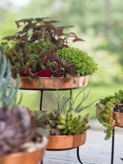 Small Round Copper Plant Tray, 10" -Gardener's Supply Sales 8593564 4399 tif