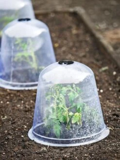 Large Garden Cloches, Set Of 3 -Gardener's Supply Sales 8593984 9432 tif