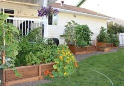 OLT Raised Cedar Garden Bed, 3' X 6' 9 OLT Raised Cedar Garden Bed, 3' X 6' -Gardener's Supply Sales 8594002 03V tif
