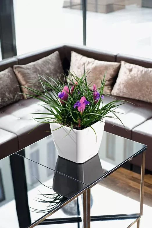 Lechuza® Quadro LS Premium Self-Watering Square Planters 1 Lechuza® Quadro LS Premium Self-Watering Square Planters