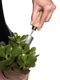 Gardener's Lifetime Mini Trowel 6 Gardener's Lifetime Mini Trowel -Gardener's Supply Sales 8594146 0111 tif