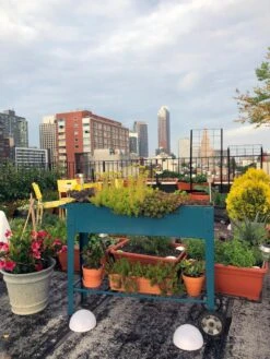 Demeter Mobile Planter Cart 12 Demeter Mobile Planter Cart -Gardener's Supply Sales 8594148 01CUST tif