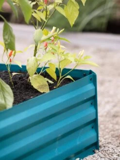 Demeter Corrugated Metal Raised Bed, 34" X 34" -Gardener's Supply Sales 8594183 470 tif