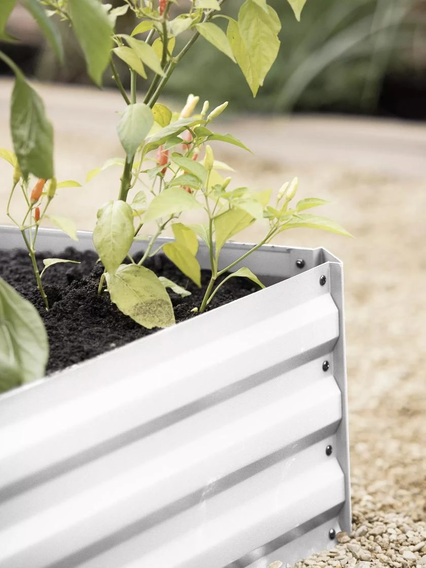 Demeter Corrugated Metal Raised Bed, 34" X 68" 5 Demeter Corrugated Metal Raised Bed, 34" X 68" - Image 5