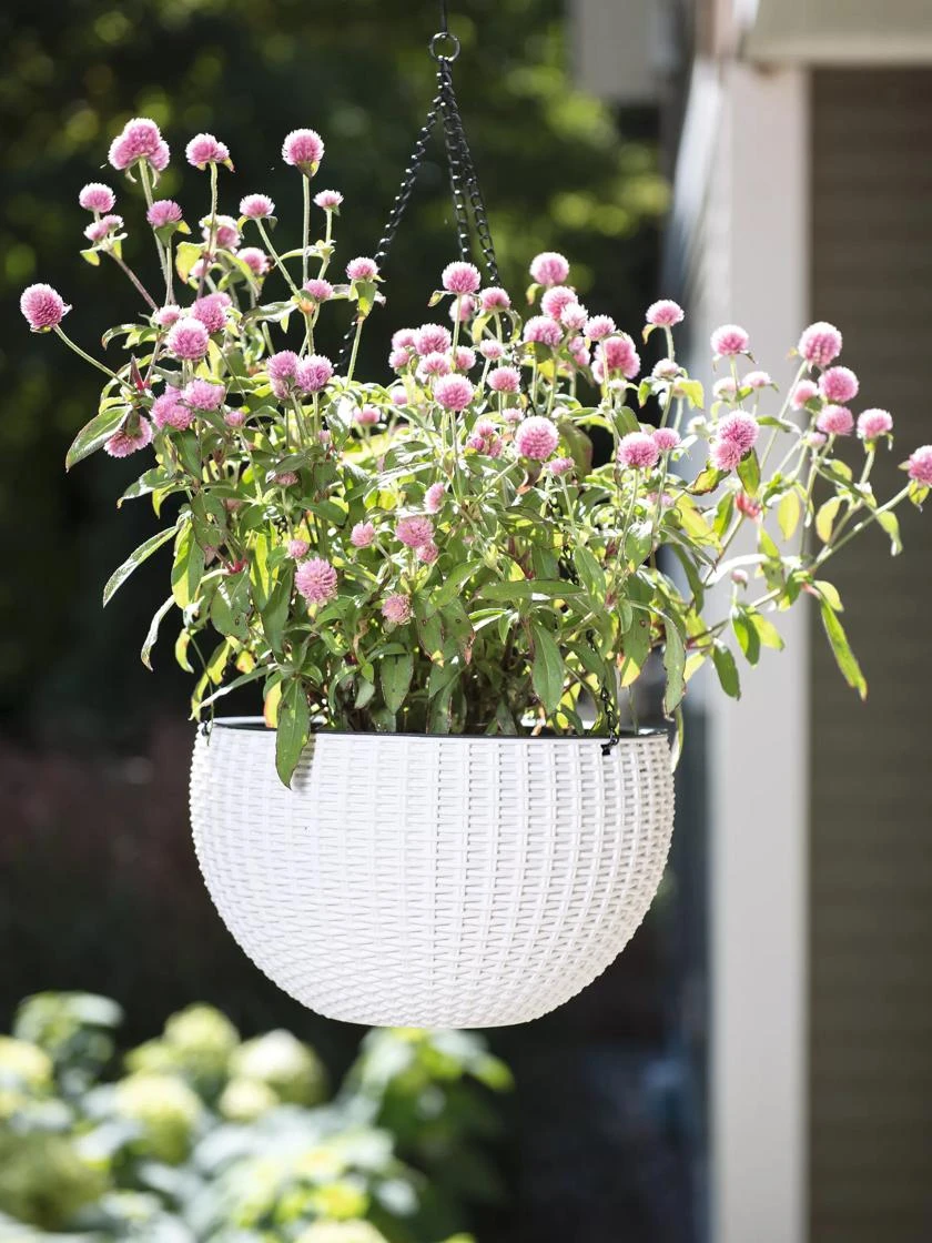 Weave Self-Watering Hanging Basket, 10" 2 Weave Self-Watering Hanging Basket, 10" - Image 2