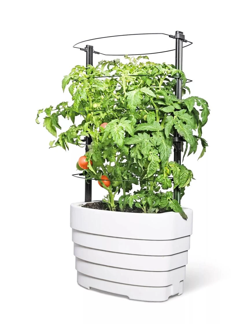Gardener's Revolution® Classic Tomato Extension 2 Gardener's Revolution® Classic Tomato Extension - Image 2