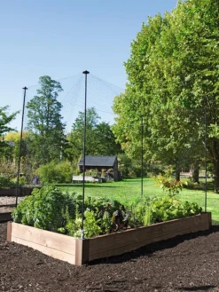 Protection Stakes For Netting, Set Of 4 -Gardener's Supply Sales 8594434 0015 tif