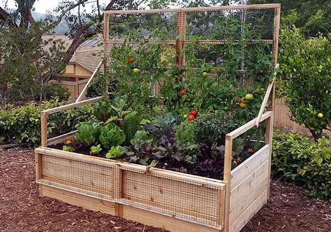 Garden In A Box With Trellis/Lid Option, 3' X 6' 2 Garden In A Box With Trellis/Lid Option, 3' X 6' - Image 2