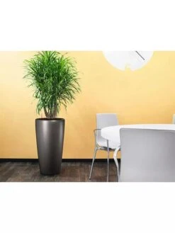 Lechuza® Rondo Self-Watering Planters 6 Lechuza® Rondo Self-Watering Planters -Gardener's Supply Sales 8594586 02V tif