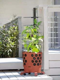 Gardener's Revolution® Tomato Planter -Gardener's Supply Sales 8594743 2618 tif