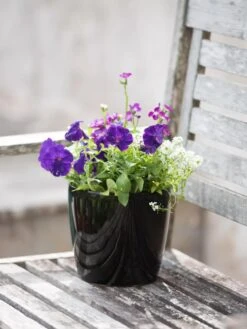 Viva Round Self-Watering Planter, 7" Diameter 9 Viva Round Self-Watering Planter, 7" Diameter -Gardener's Supply Sales 8595222 1140 tif