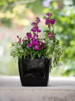 Viva Square Self-Watering Planter, 7" Diameter -Gardener's Supply Sales 8595223 1107 tif