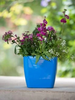 Viva Square Self-Watering Planter, 7" Diameter -Gardener's Supply Sales 8595223 1113 tif