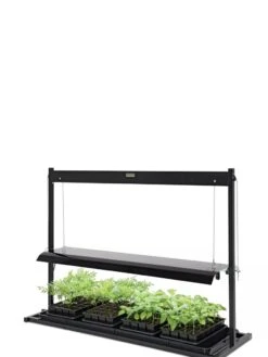 LED SunLite® Tabletop Garden 7 LED SunLite® Tabletop Garden -Gardener's Supply Sales 8595552 10125 tif
