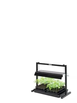 LED SunLite® Compact Tabletop Garden -Gardener's Supply Sales 8595555 10136 tif