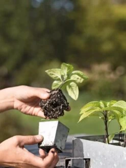 Galvanized Seed Starting Tray -Gardener's Supply Sales 8595893 4378 tif