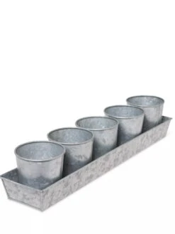 Galvanized Herb Planters With Rectangular Tray -Gardener's Supply Sales 8595903 3924 tif