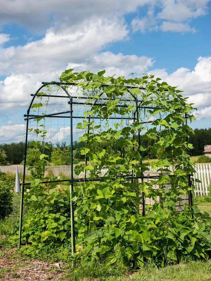 Titan Squash Tunnel 5 Titan Squash Tunnel - Image 5