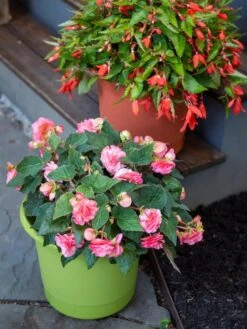 Eezy Gro Self-Watering Planters -Gardener's Supply Sales 8596427 0034 tif