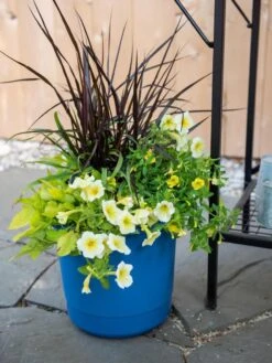 Gardener's Supply Sales -Gardener's Supply Sales 8596427 0035 tif