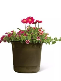 Eezy Gro Self-Watering Planters -Gardener's Supply Sales 8596427 108 tif