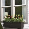 Valencia Window Box, 3'