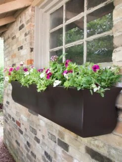 Valencia Window Box, 4' 11 Valencia Window Box, 4' -Gardener's Supply Sales 8596437 08V tif