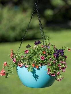 Viva Self-Watering Hanging Basket, 14" Diameter -Gardener's Supply Sales 8596442 0859 tif