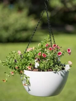 Viva Self-Watering Hanging Basket, 14" Diameter -Gardener's Supply Sales 8596442 0864 tif