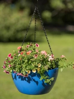 Viva Self-Watering Hanging Basket, 14" Diameter -Gardener's Supply Sales 8596442 0876 tif