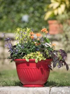Mazzano Self-Watering Planters -Gardener's Supply Sales 8596564 4883 tif