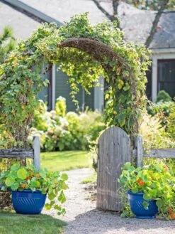 Gardener's Supply Sales -Gardener's Supply Sales 8596570 10231 tif