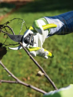 Gardener's Pro Pruner #2 -Gardener's Supply Sales 8596605 032 tif