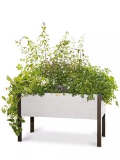 Eco-Stained Elevated Planter Box, 2'x4' -Gardener's Supply Sales 8596759 3837 tif