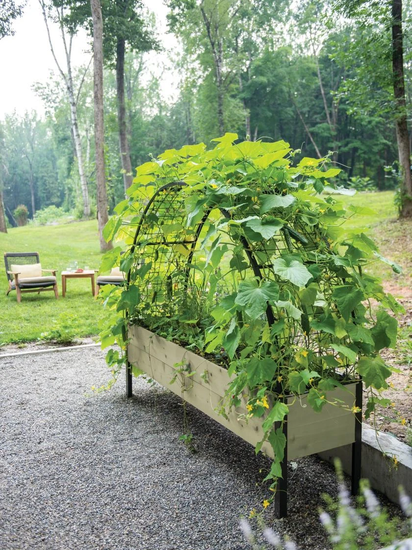 Eco-Stained Elevated Planter Box, 2'x8' 6 Eco-Stained Elevated Planter Box, 2'x8' - Image 6