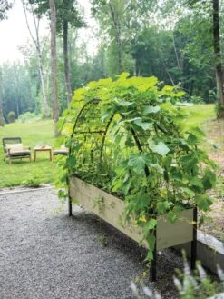 Self-Watering Elevated Planter Box, 2' X 8' -Gardener's Supply Sales 8596760 0046 tif