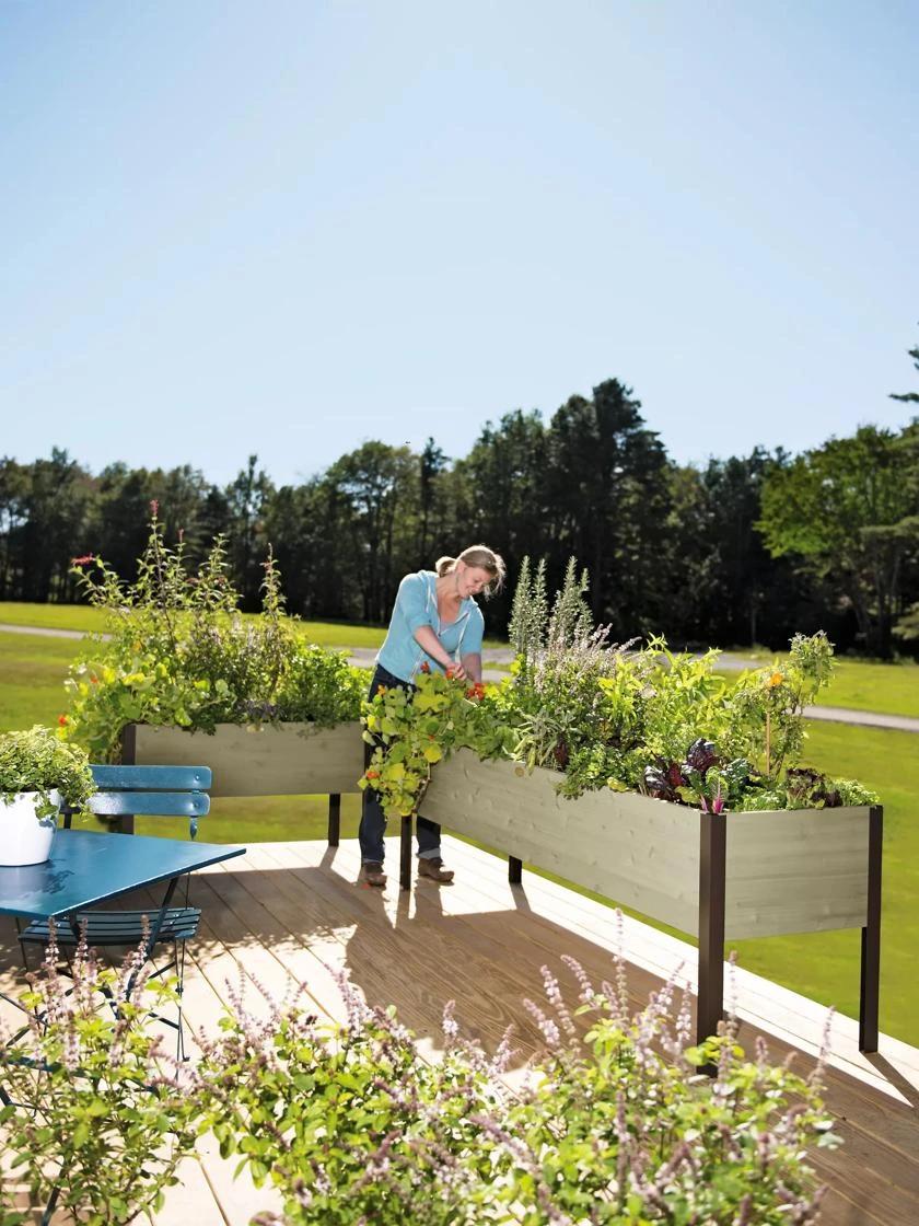 Eco-Stained Elevated Planter Box, 2'x8' 1 Eco-Stained Elevated Planter Box, 2'x8'