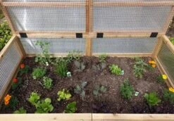 Garden In A Box Cedar Raised Bed With Greenhouse, 3' X 6' 8 Garden In A Box Cedar Raised Bed With Greenhouse, 3' X 6' -Gardener's Supply Sales 8597082 03V tif
