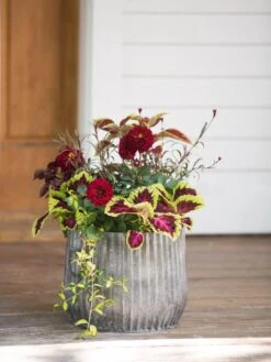 Galvanized Ribbed Planters -Gardener's Supply Sales 8597435 1693 tif