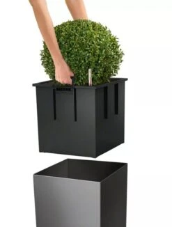 Lechuza® Cube Premium Planters 8 Lechuza® Cube Premium Planters -Gardener's Supply Sales 8597506 04V tif