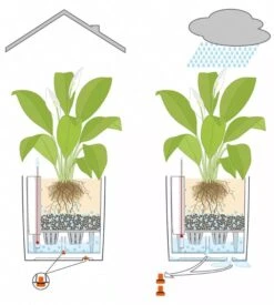 Lechuza® Cube Premium Planters 9 Lechuza® Cube Premium Planters -Gardener's Supply Sales 8597506 05V tif