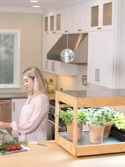 Low Bamboo LED Grow Light Garden -Gardener's Supply Sales 8597720 0816 tif