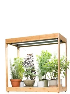 Medium Bamboo LED Grow Light Garden -Gardener's Supply Sales 8597883 1011 tif