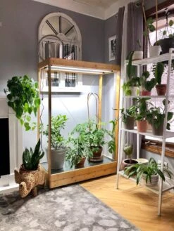 Tall Bamboo LED Grow Light Garden -Gardener's Supply Sales 8597884 01IN tif