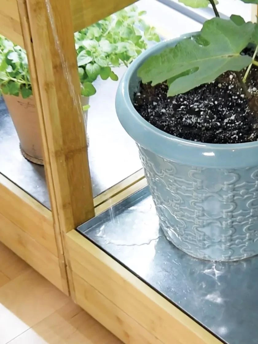 Galvanized Tray For Bamboo LED Grow Light Gardens 2 Galvanized Tray For Bamboo LED Grow Light Gardens - Image 2