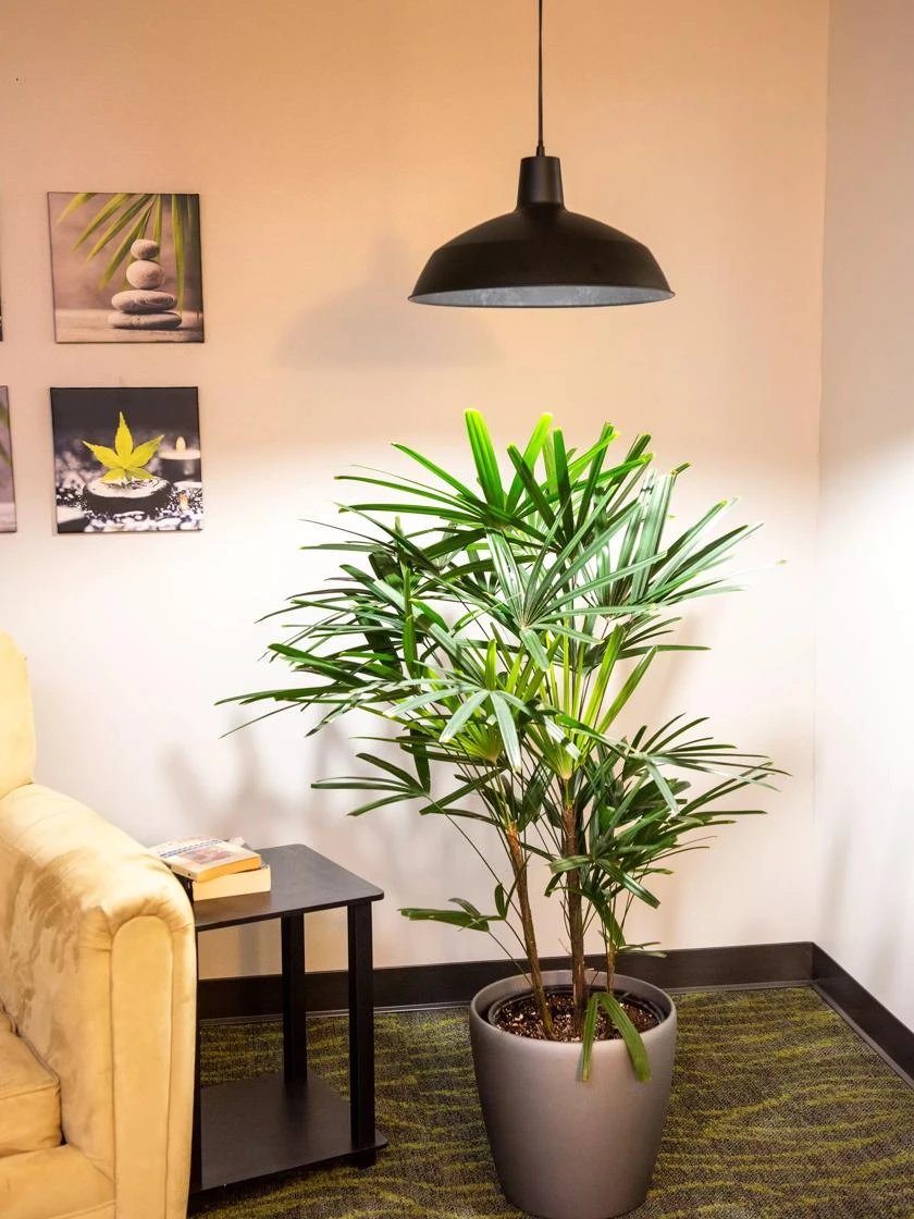 Barnyard Pendant LED Grow Light 3 Barnyard Pendant LED Grow Light - Image 3