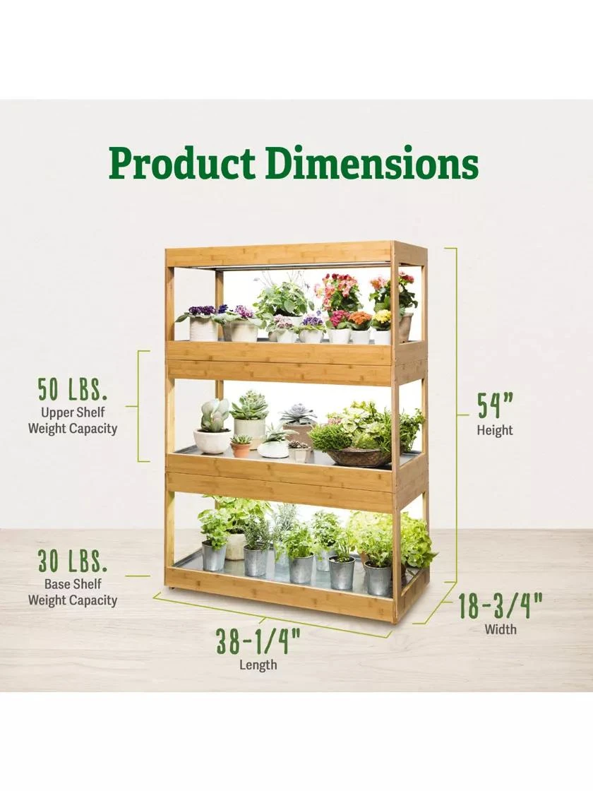 Bamboo LED Grow Light Garden For Succulents And Seeds 2 Bamboo LED Grow Light Garden For Succulents And Seeds - Image 2