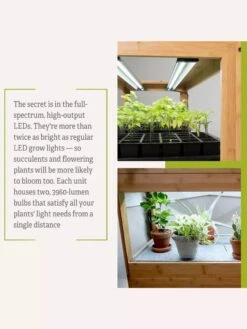 Bamboo LED Grow Light Garden For Succulents And Seeds 20 Bamboo LED Grow Light Garden For Succulents And Seeds -Gardener's Supply Sales 8598084 7